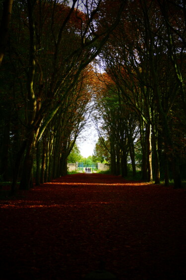 ballade 5  st germain en laye