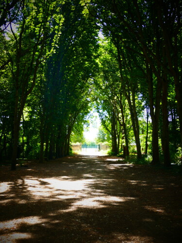 parc du chateau "78" plein soleil 11